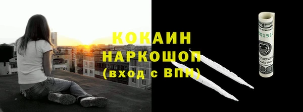 гашик Тихвин