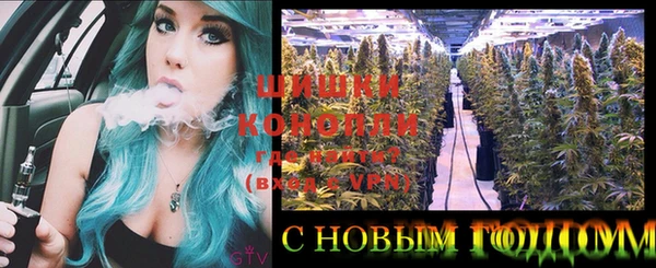 spice Нестеровская