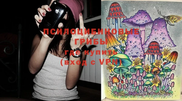 МДПВ Фёдоровский
