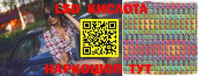 стаф Берёзовский