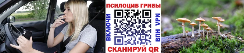 Галлюциногенные грибы прущие грибы  Благодарный 