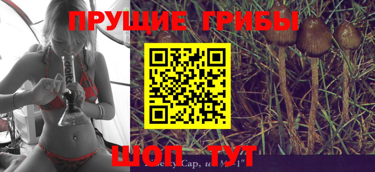 Псилоцибиновые грибы GOLDEN TEACHER  Благодарный  Галлюциногенные грибы Magic Shrooms 