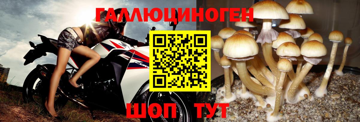 Благодарный  Псилоцибиновые грибы ЛСД  Вход с VPN  Псилоцибиновые грибы MAGIC MUSHROOMS 