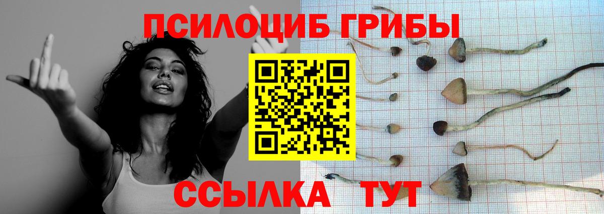 Псилоцибиновые грибы GOLDEN TEACHER Благодарный